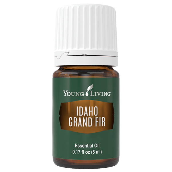 Jedle obrovská z Idaha 5 ml Young Living