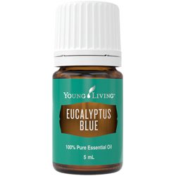 Modrý eukalyptus esenciální olej 5 ml Young Living
