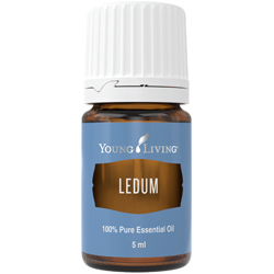Rojovník (Ledum) esenciální olej 5 ml Young Living