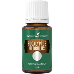 Eucalyptus globulus esenciální olej 15 ml Young Living