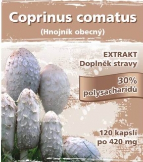Naturgreen Coprinus comatus (Hnojník obecný) 120 ks